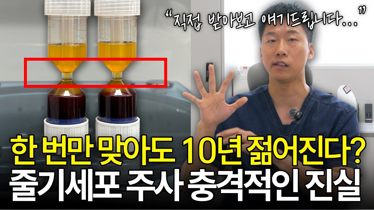 줄기세포 솔직히 말씀드립니다 l 줄기세포 치료 원리와 한계