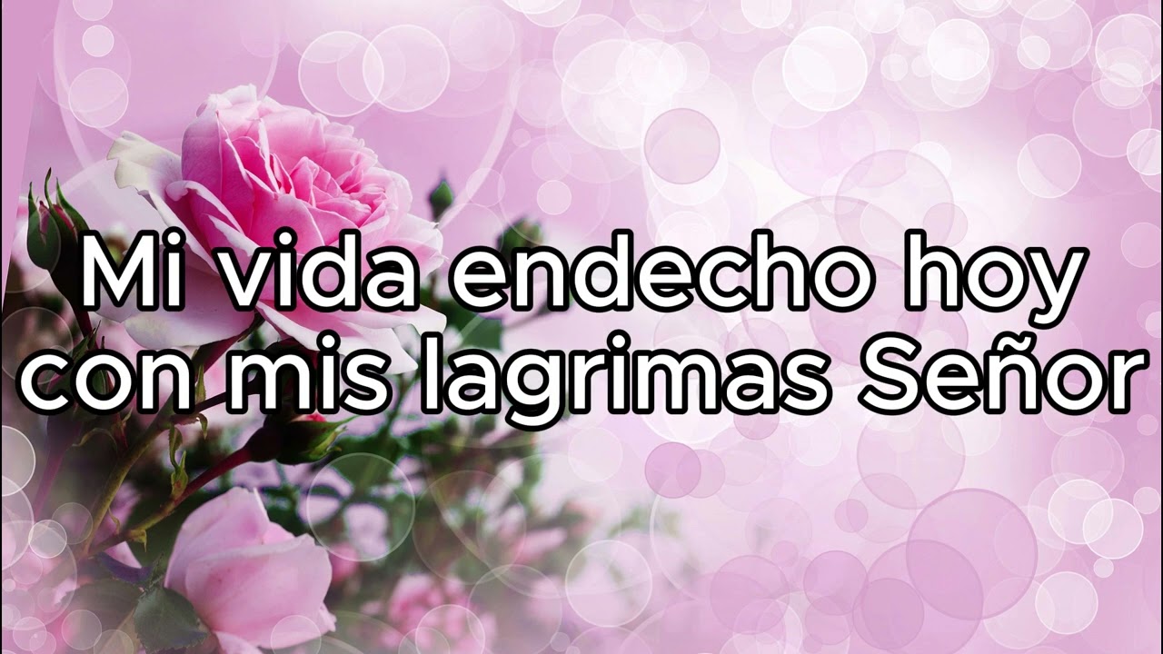 Vol 2 Necesito de tu amor