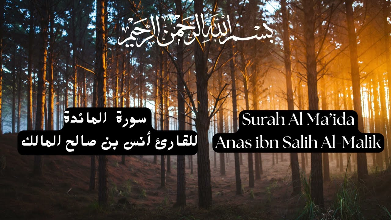 Surah Al-Ma'ida Anas ibn Salih Al Malik سورة المائدة كاملة للقارئ أنس بن صالح المالك