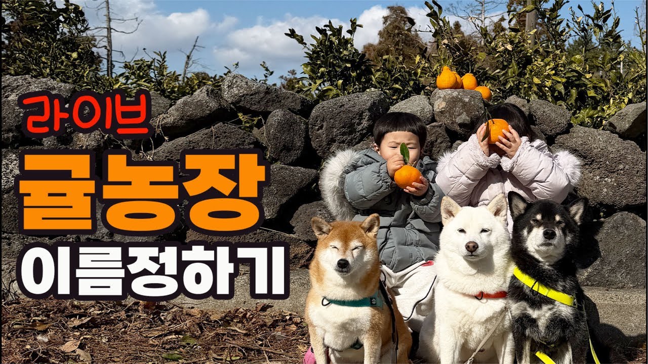 농장 이름 같이 정해요~