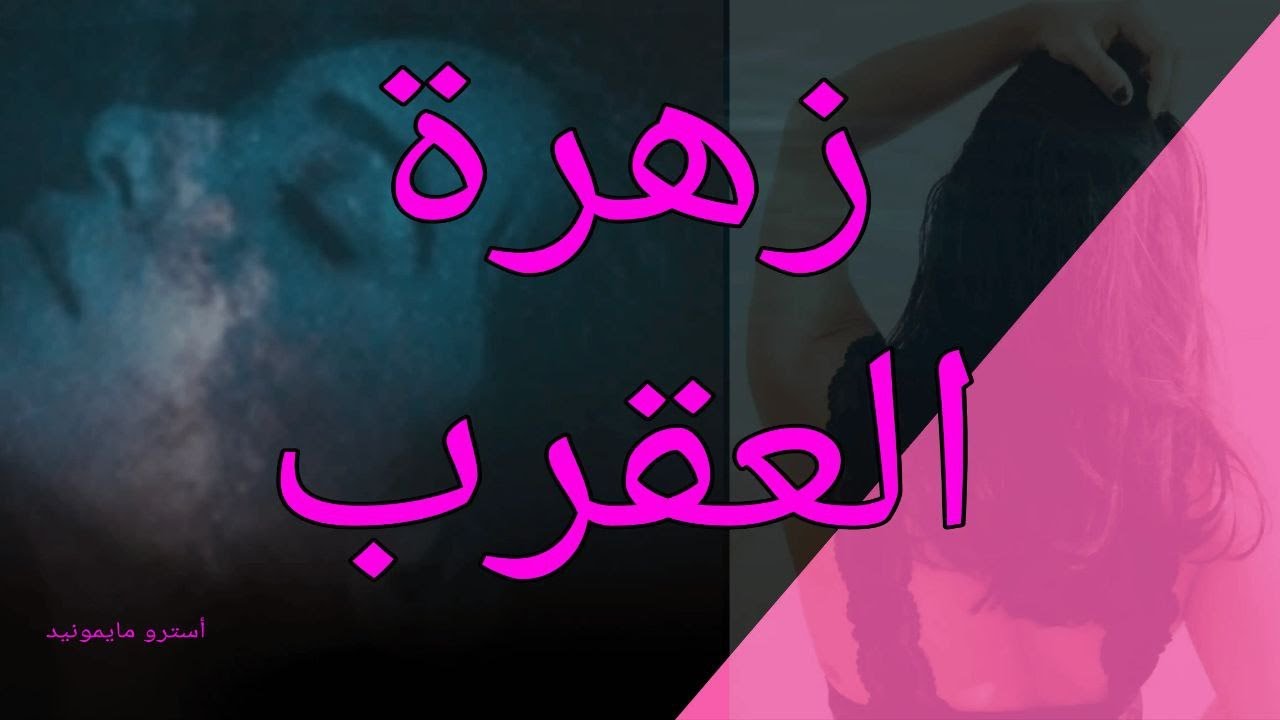زهرة العقرب وقت تقييم العلاقات و تحقيق المكاسب السرية