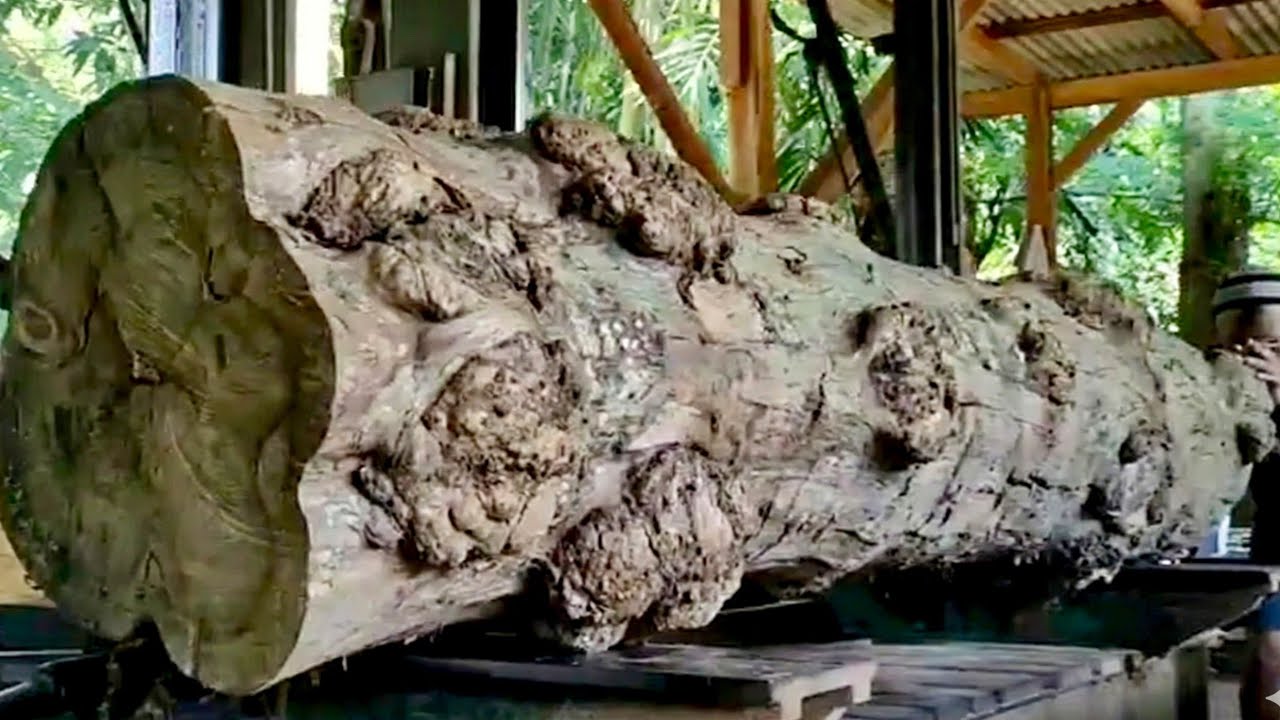 Hell wood lump