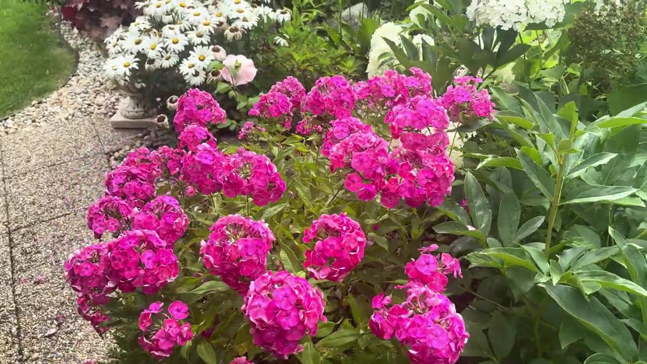 Modern summertime garden