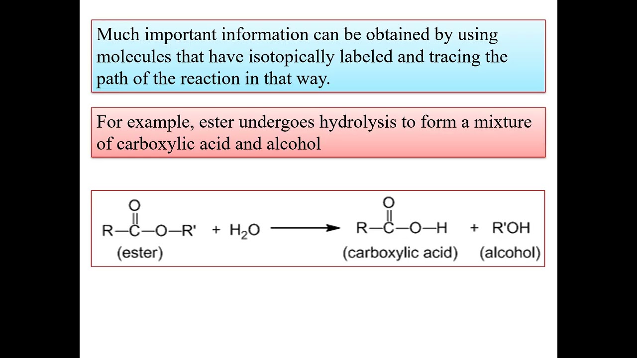 RCU-SEP-B.Sc-CHEM-UNIT III-Identification of mechanisms-Isotope labelling Tracer tec-Kinetic Studies