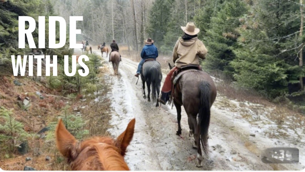 Horse Trail Ride POV ASMR | Hoofbeats on Gravel Road to Forest