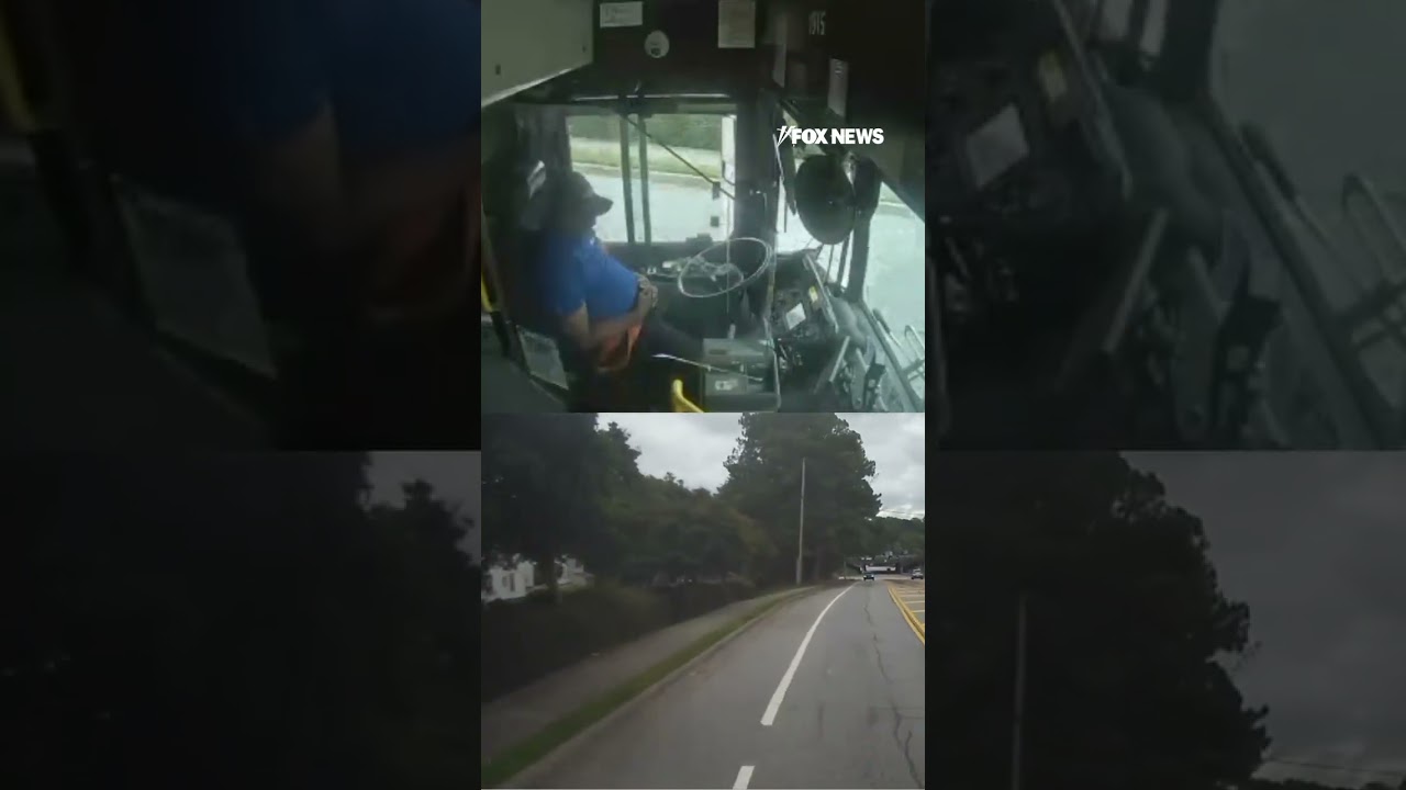 WATCH: Bus driver appears to FALL ASLEEP, crash with passengers on board