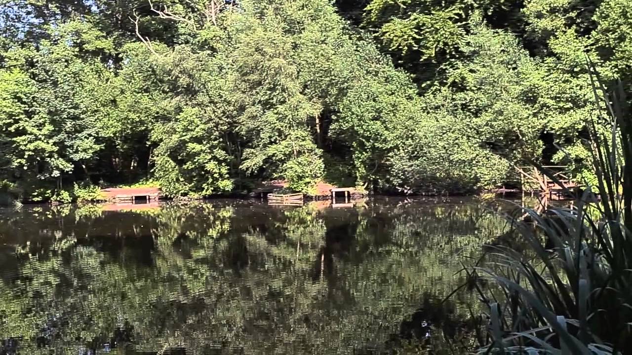 WAPPERWELL POND, UGBROOKE, CHUDLEIGH, DEVON