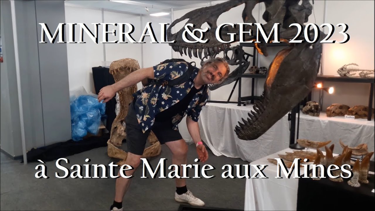 Visite de la bourse aux minéraux de Sainte-Marie-aux-Mines