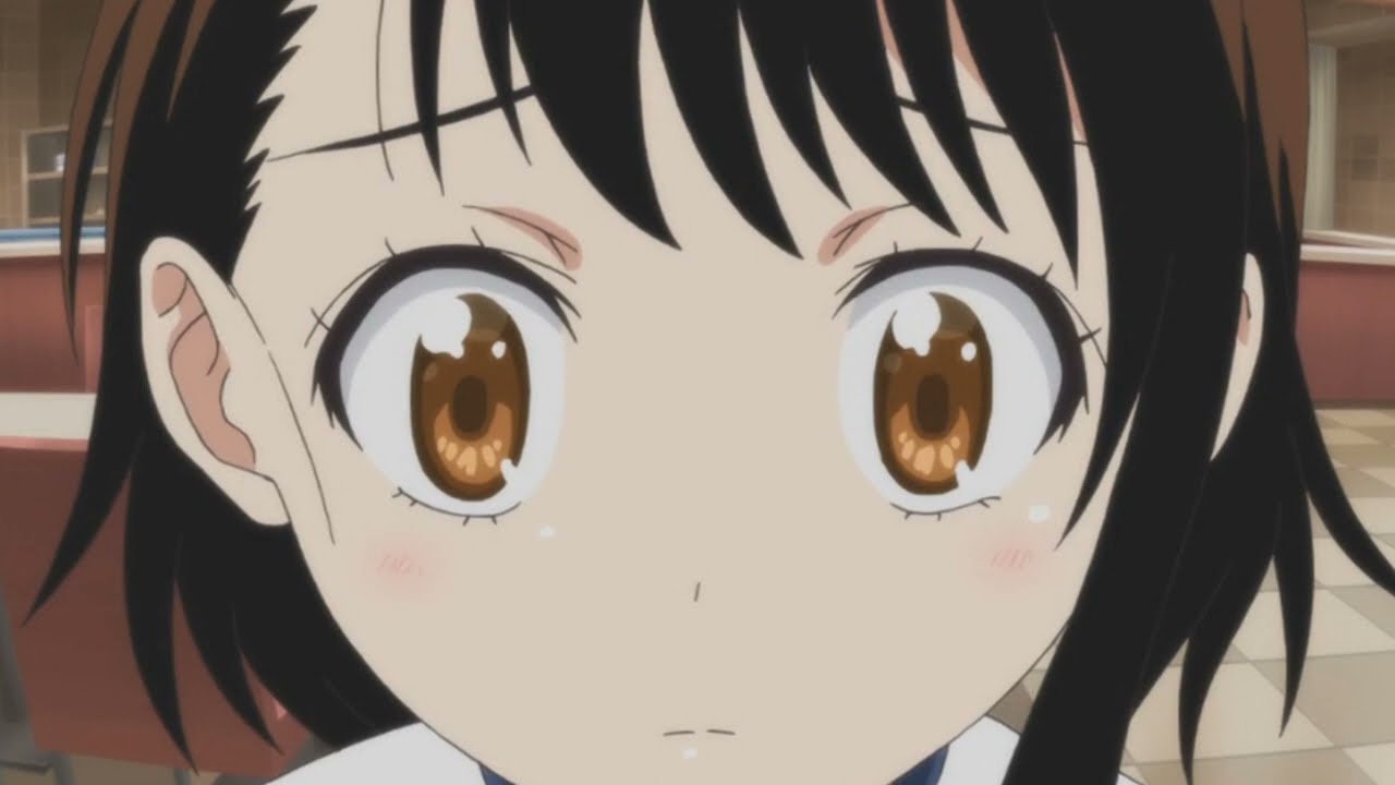 Nisekoi Abridged