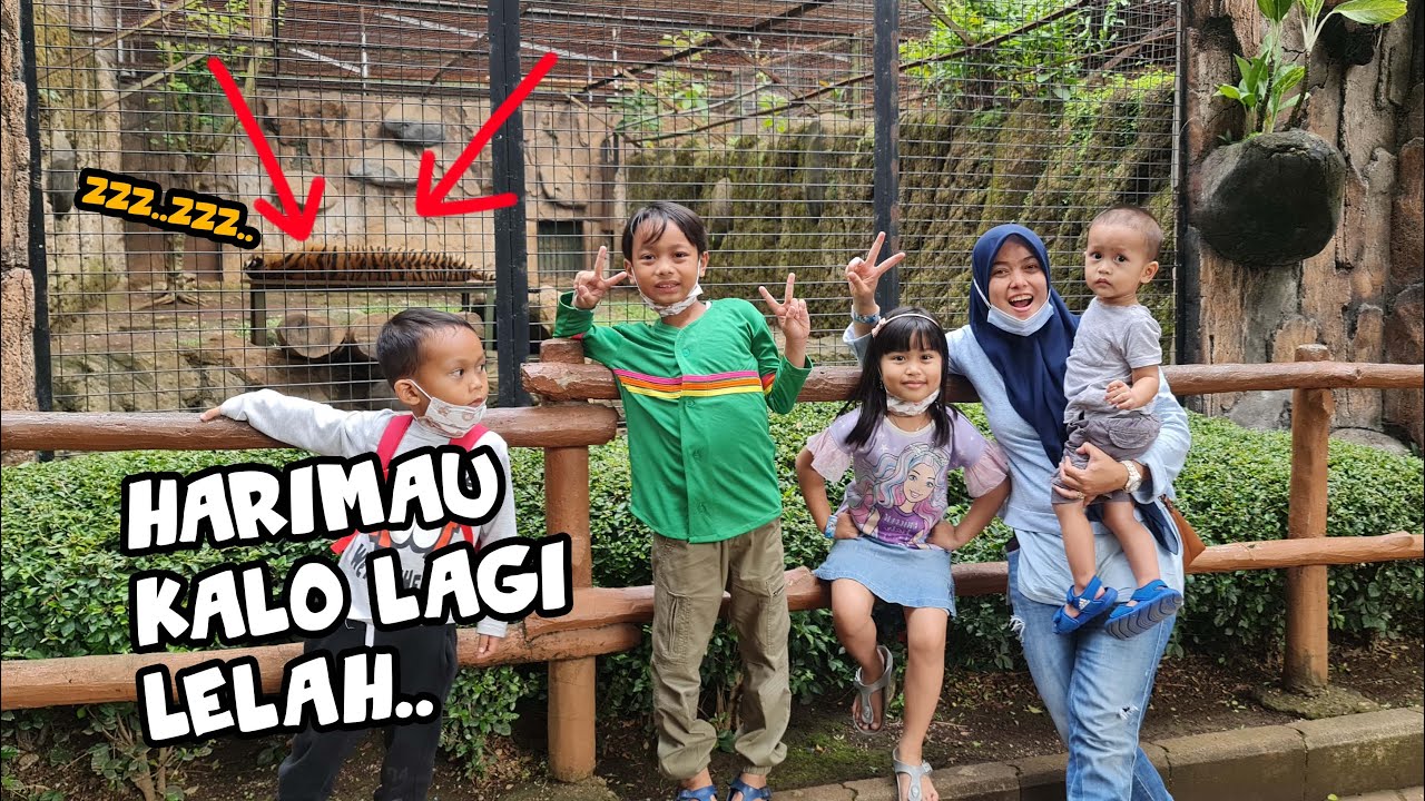 KALAU RAJA HUTAN NGANTUK BERAT