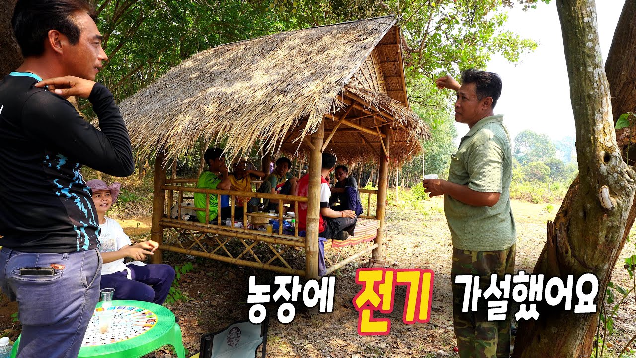 ep313 농장에 전기 가설했어요