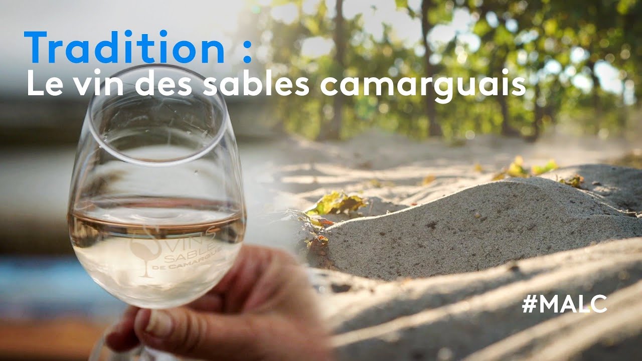 Tradition : le vin des sables camarguais