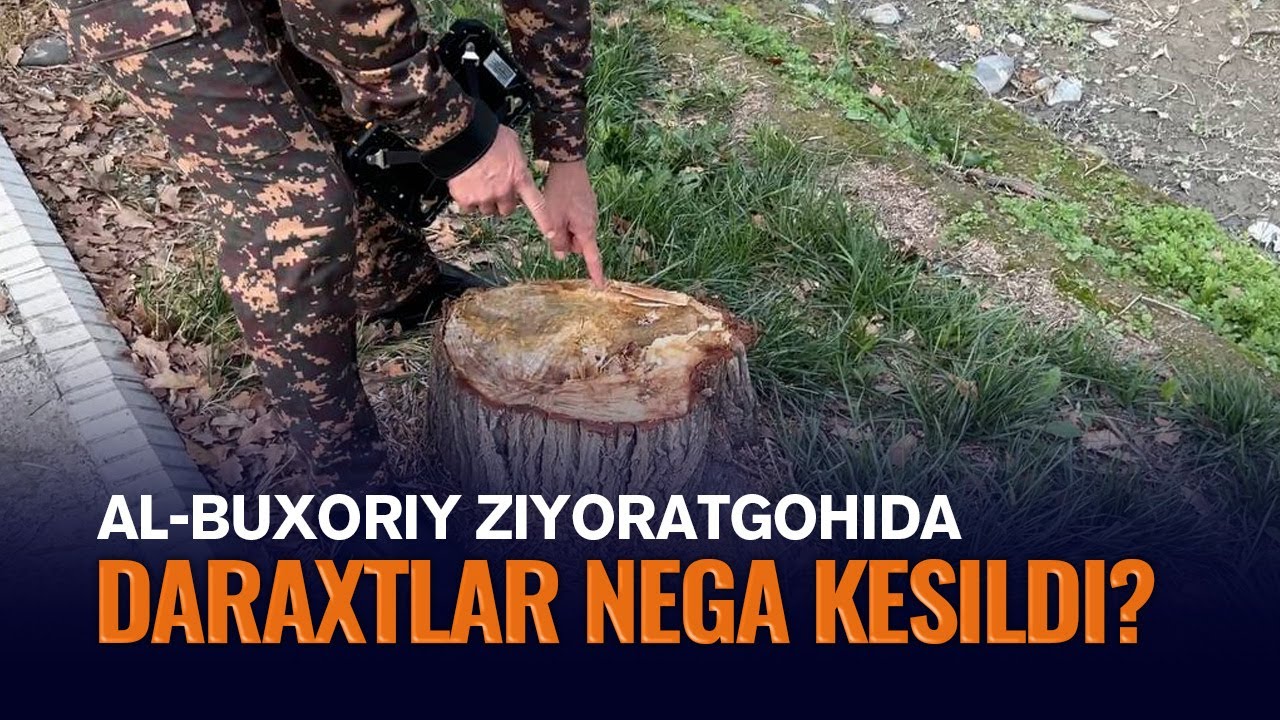 Al-Buxoriy ziyoratgohida daraxtlar nega kesildi?