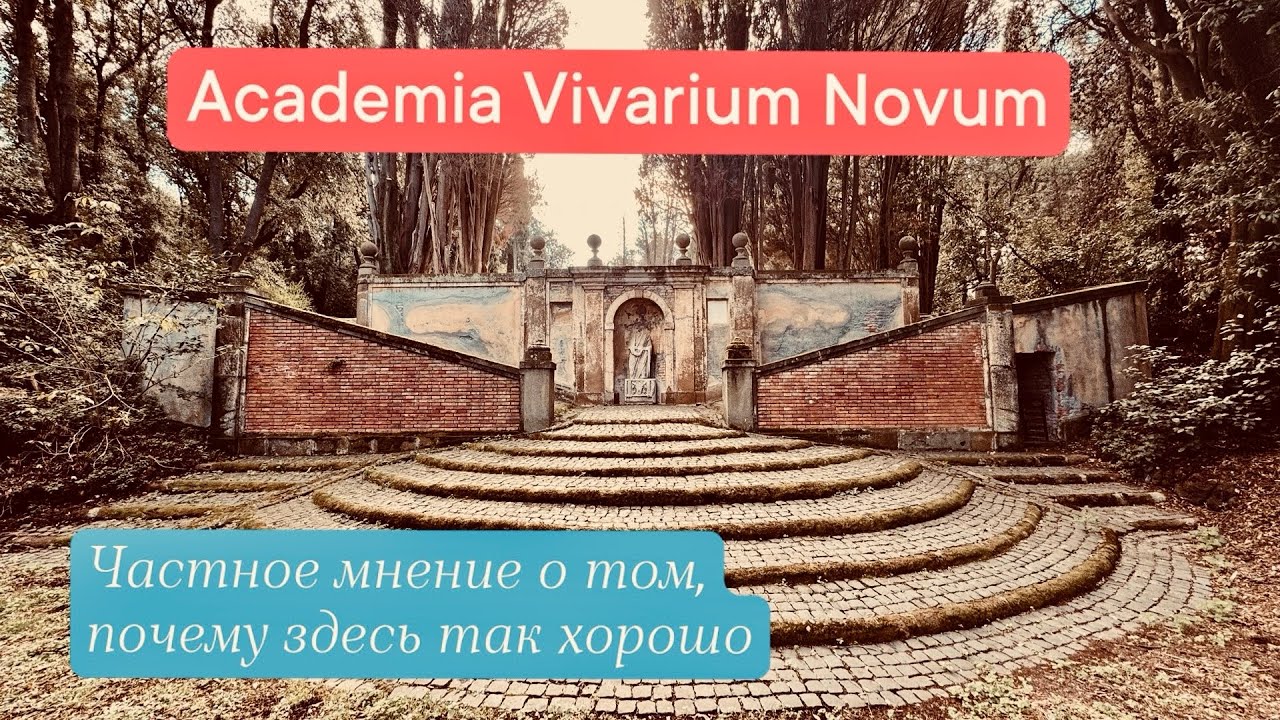 Quid de Academia Vivarii Novi sentiam? / Почему академия Vivarium Novum прекрасна?