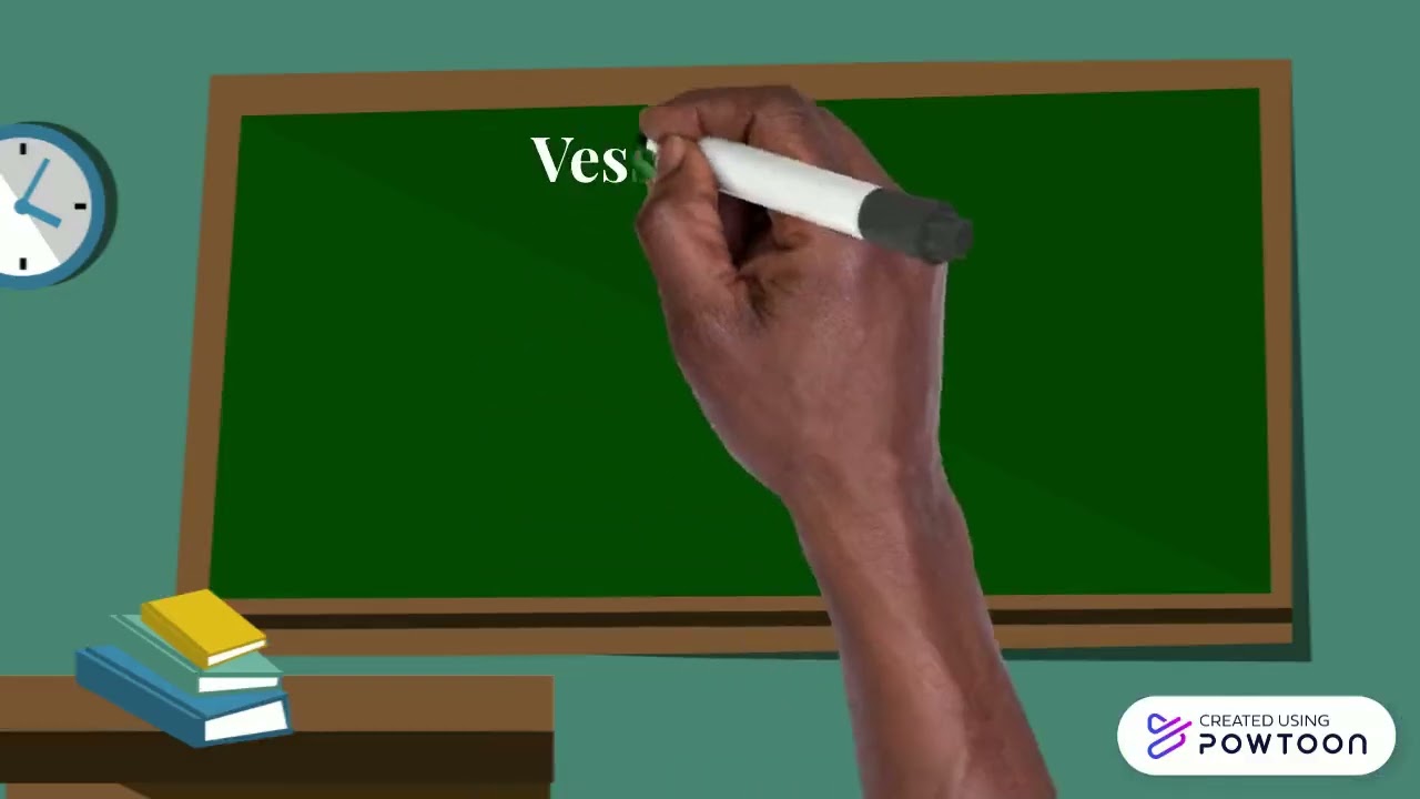 Explainer video tomas pinzon