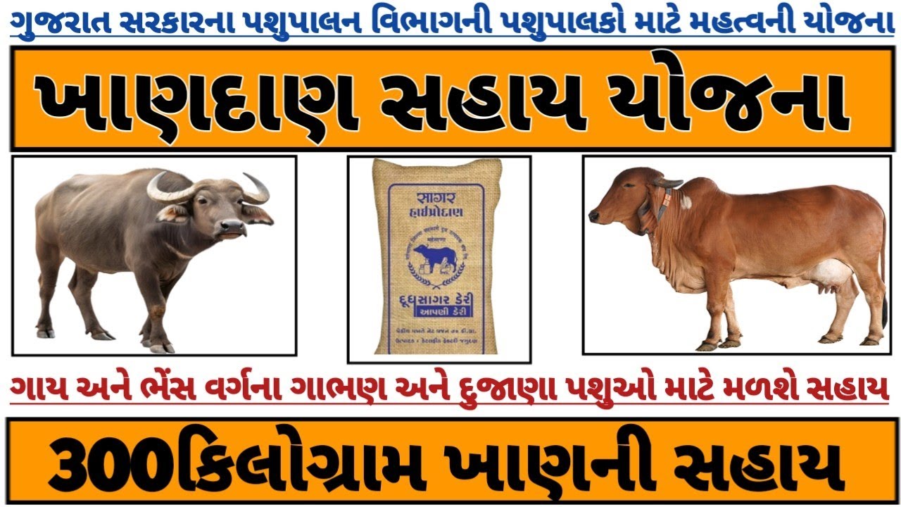 ખાણદાણ સહાય યોજના | Khandan Sahay Yojna 2026 | Pashupalan Yojna|