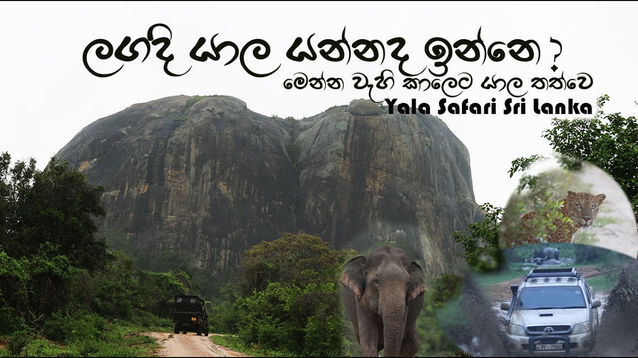 Yala National Park | Yala Safari | Under Heavy Rain | Sri Lanka