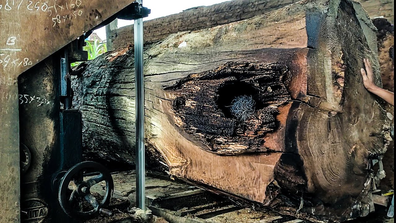 Trembesi Lumber ‼️ Sawmilling Process in Melbourne Explained