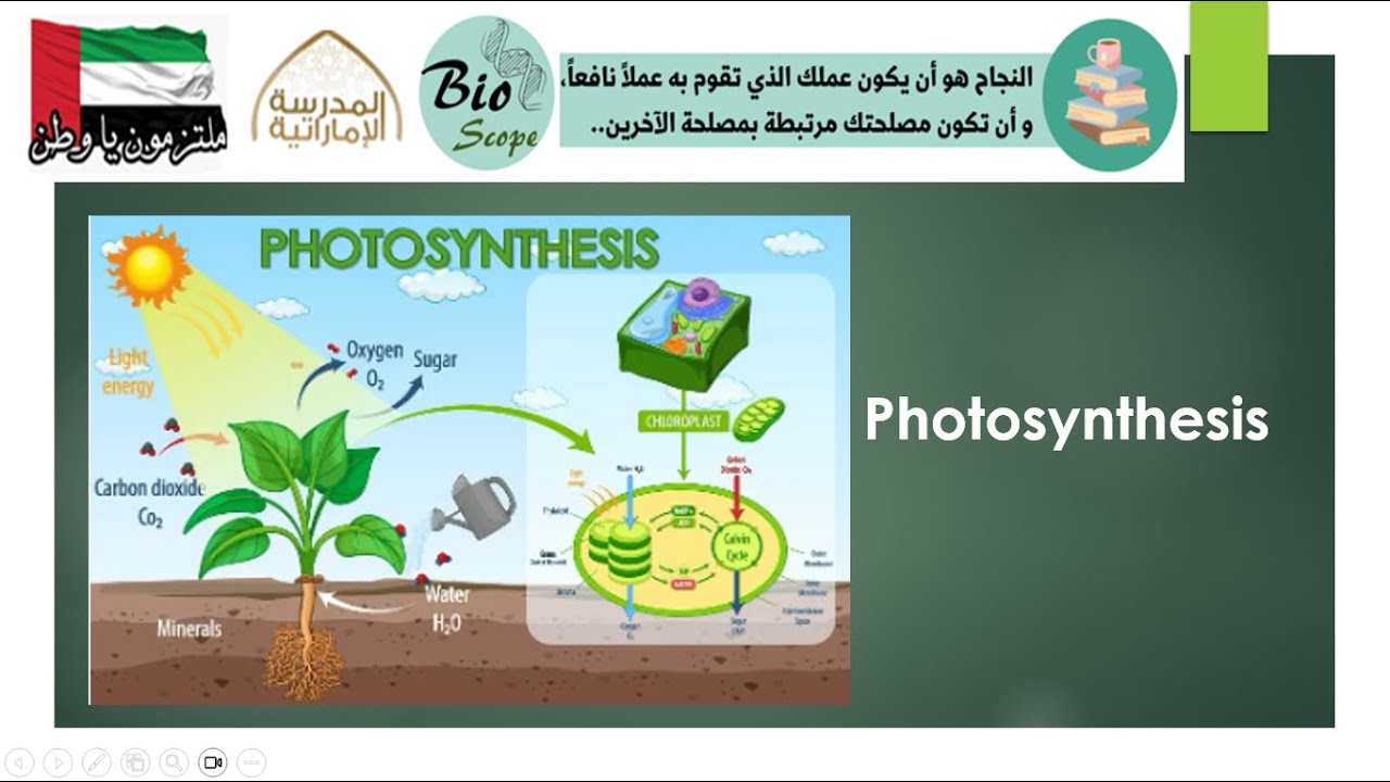 Cellular Energy - Photosynthesis Lesson 2 - Part 1