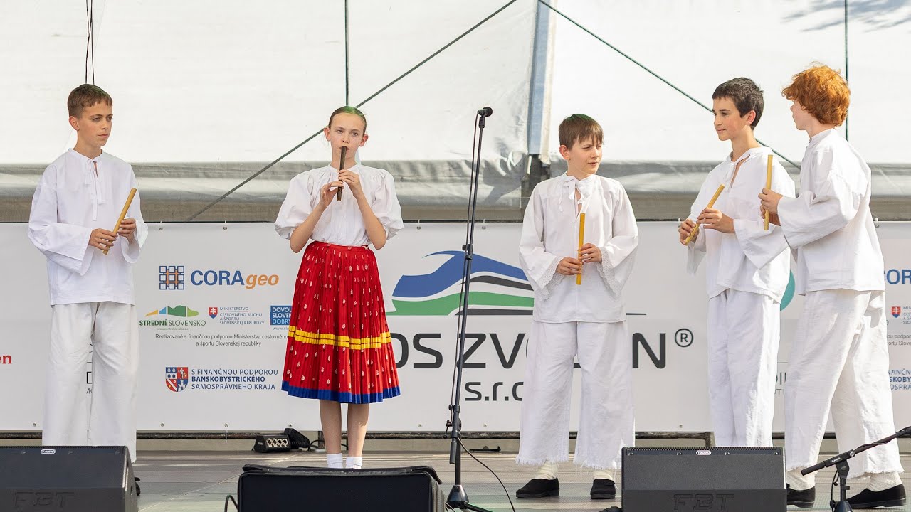 DFS Prvosienka - (FDFS Zvolen 2025)