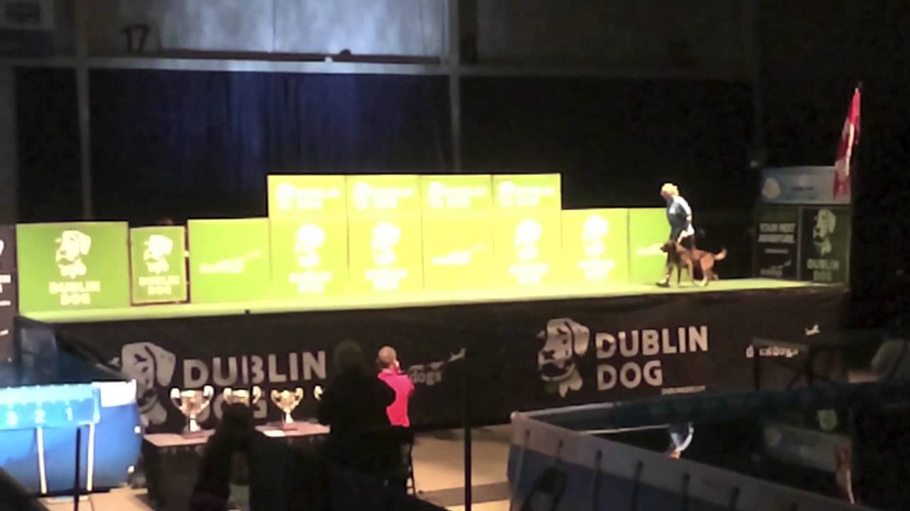 IQ K9 TRAINING | Rex and Lianne Shinton at the 2015 DockDogs World Championships