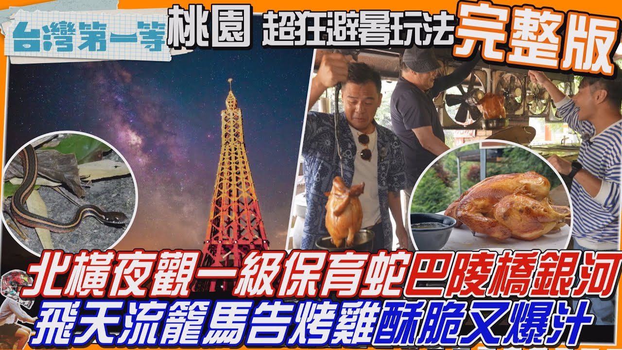 [全新] 桃園【北橫公路避暑新玩法「夜觀蛇天堂、巴陵橋銀河」一級保育蛇、最衰白梅花蛇/現採水蜜桃 濃郁果香 賞味黃金72小時/飛天流籠馬告烤雞 酥脆又爆汁】│2025.07.27│《台灣第一等》完整版