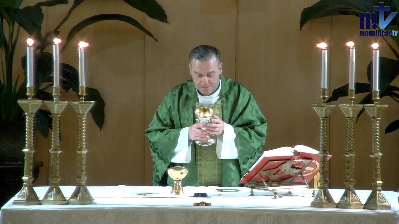La Santa Misa de Hoy | Domingo VI del Tiempo Ordinario (15-02-2026) | Pbro. Javier Martín, FM