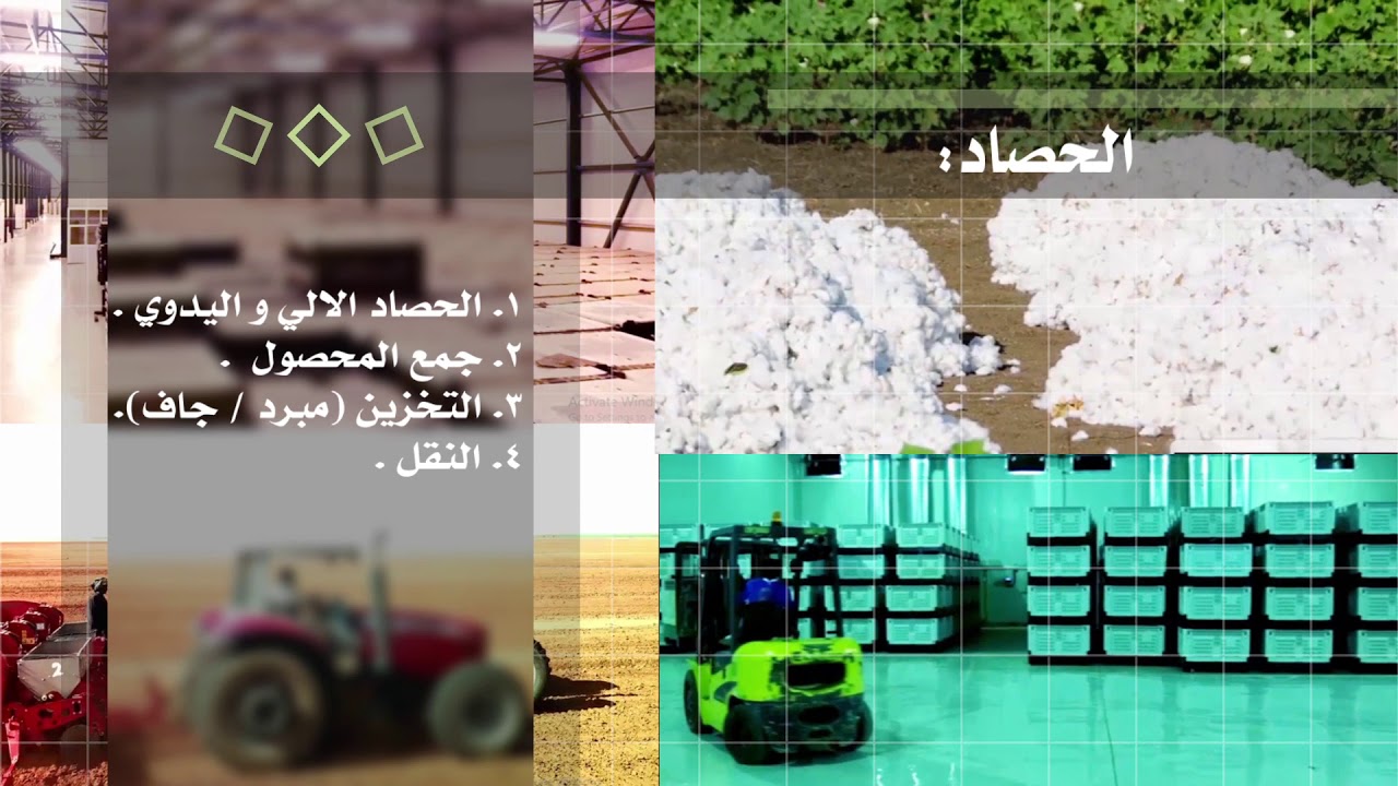 about Exports Development Group