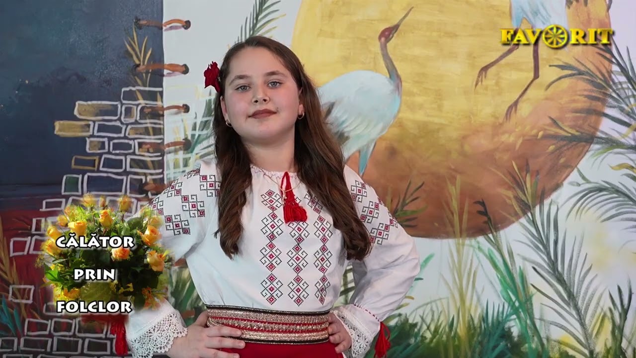 Melania Vaduva   Trandafir rosu batut