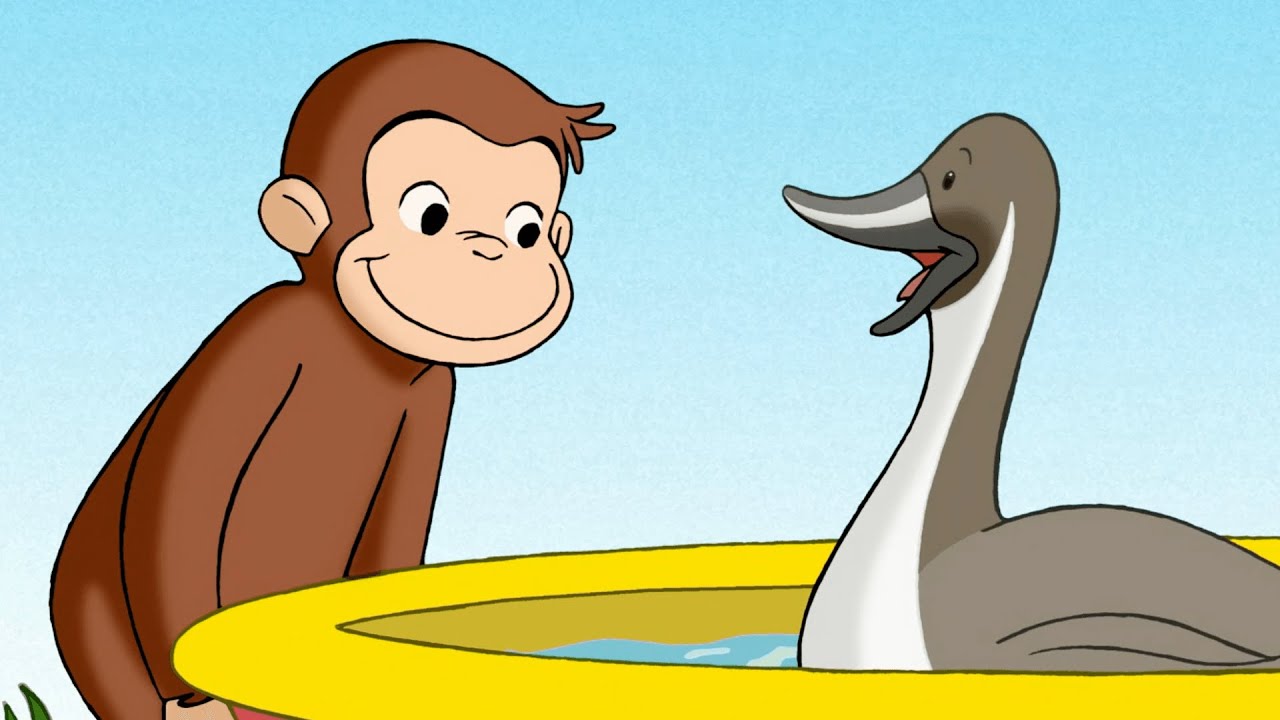 Curioso Come George 🐵 Lo stagno delle anatre 🐵Cartoni per Bambini
