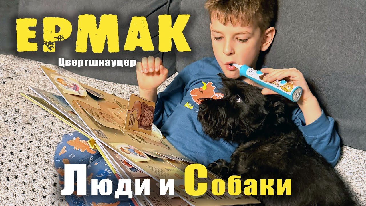 Собаки и Люди. ЕРМАК хитрый Цвергшнауцер.