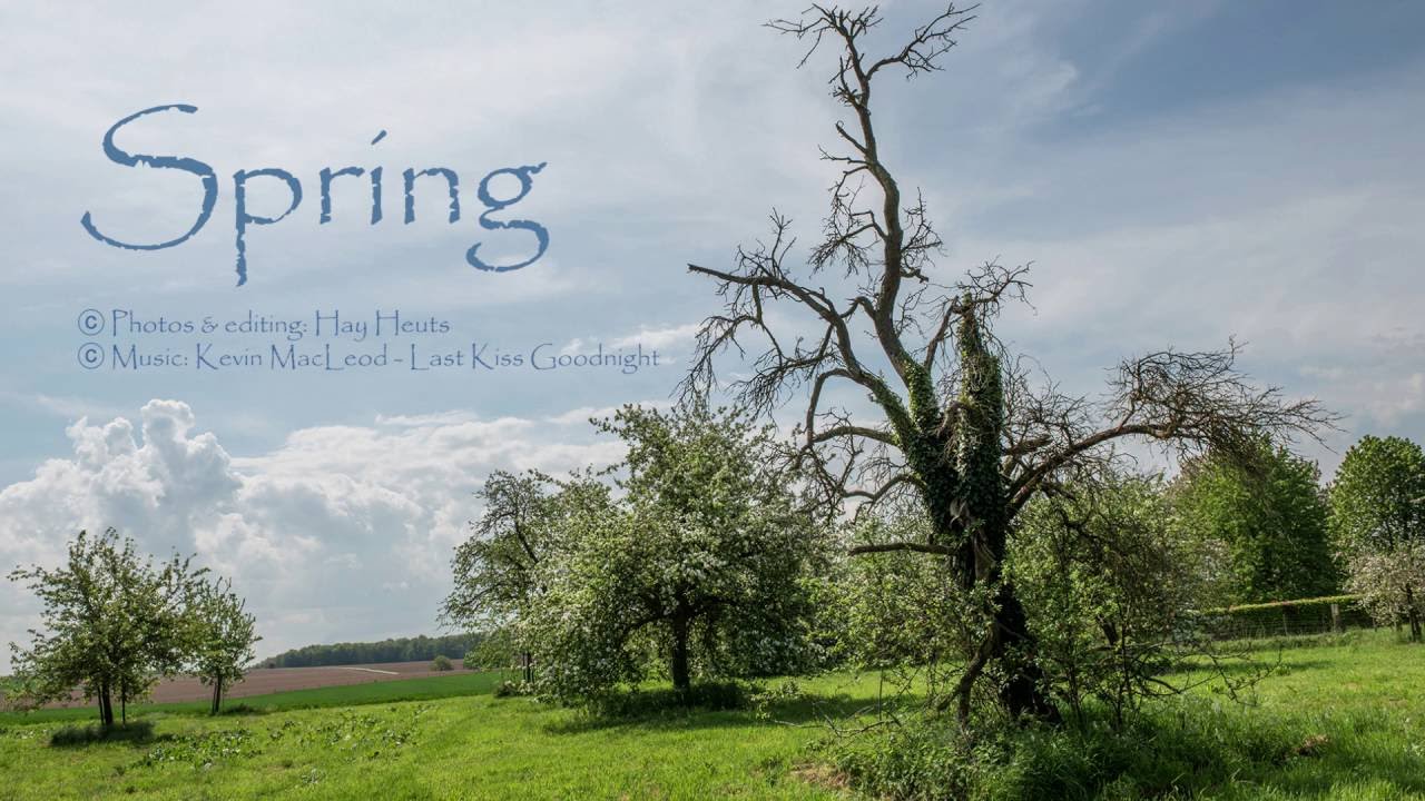 Spring