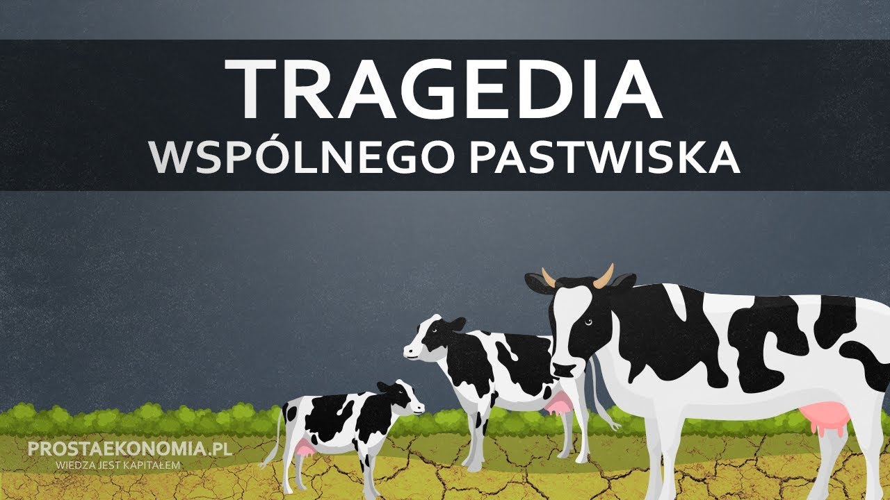 Tragedia wsp&oacute;lnego pastwiska | Na czym polega problem i jakie są jego możliwe rozwiązania?
