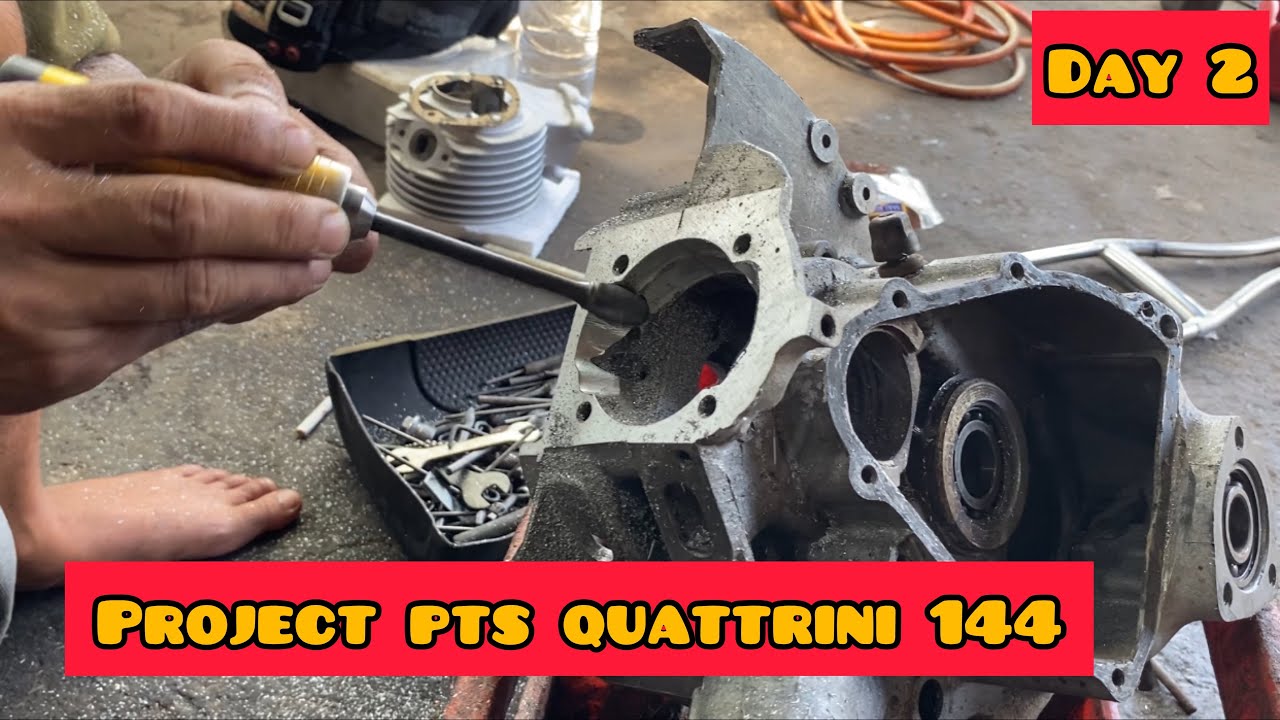 PROJECT PTS QUATTRINI 144 ASAL PATI ‼️