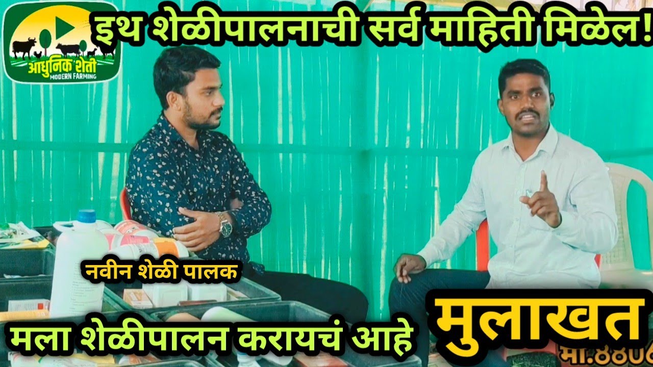 नवीन शेळीपालन सुरू करताना....शंका आणि समाधान. #शेळीपालन #Shelipalan