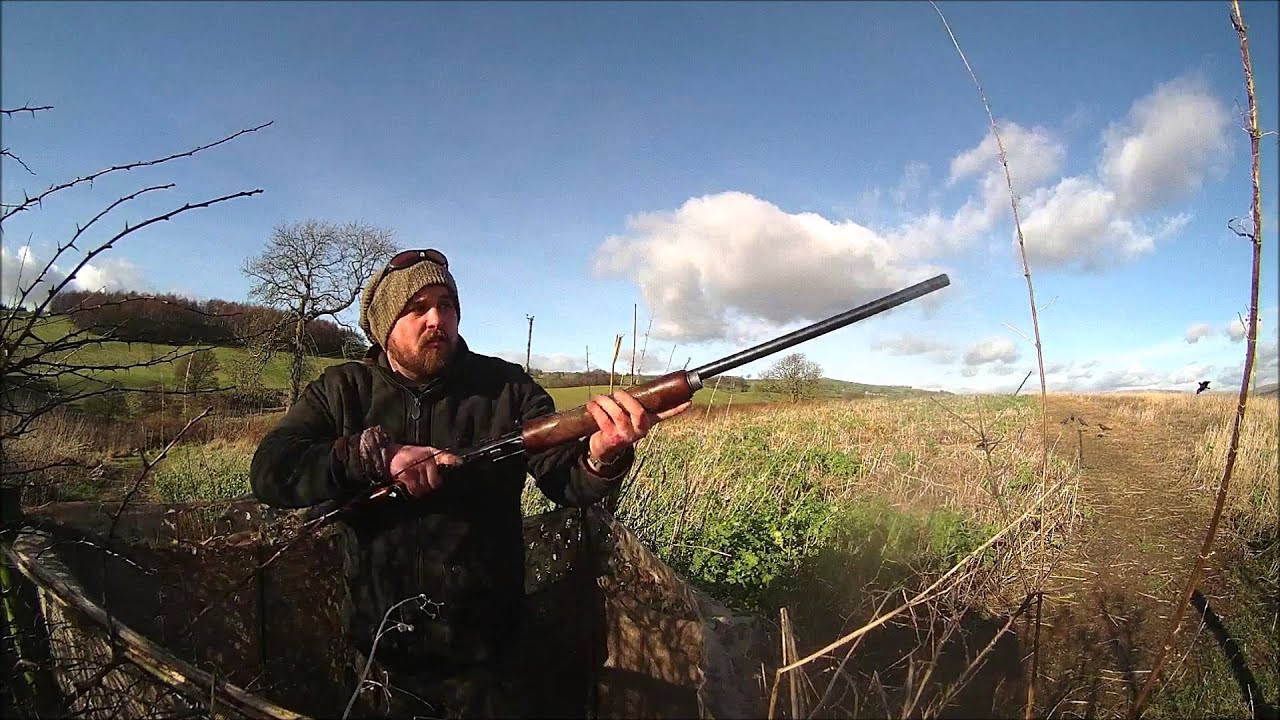 Corvid Control
