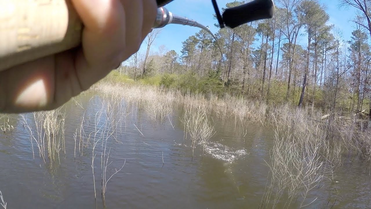 Esto Le Puede Pasar a Cualquiera!!! D&iacute;a de Pesca 2019