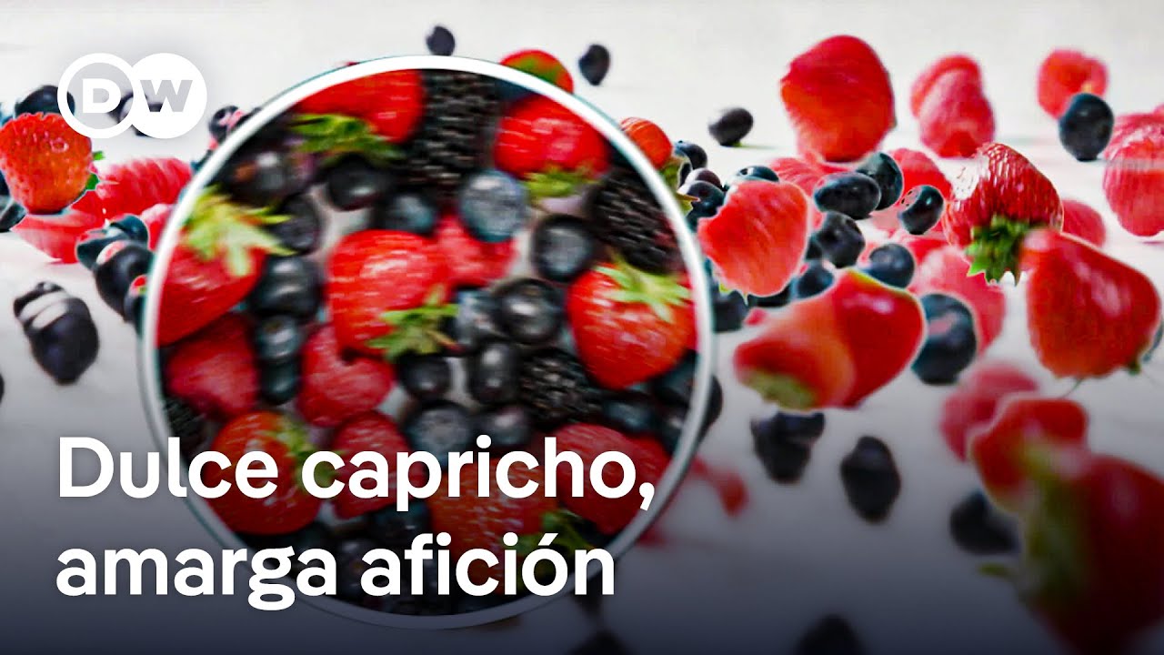 Las bayas superalimentos - regionales contra importadas | DW Documental
