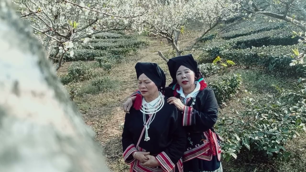 xeng háng dung
