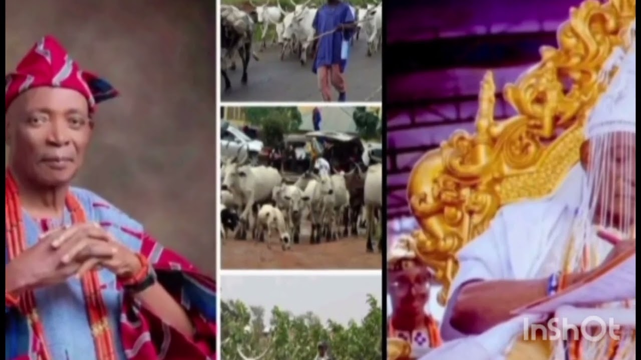 EFI ILE OYO SILE MO PAA LASE FUN EYIN FULANI WON YI. OLUBADAN TI PASE OO