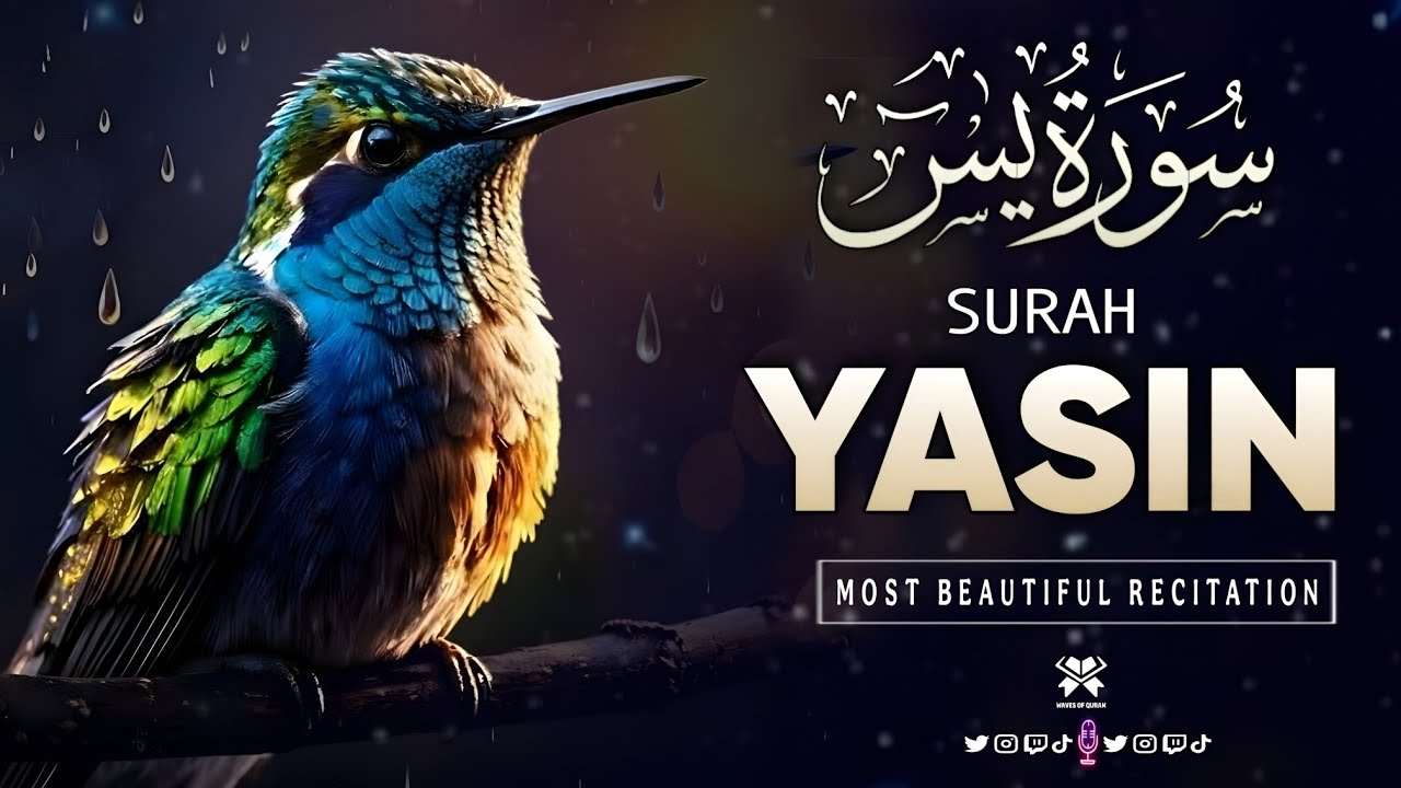 Surah Yaseen (Yasin) | Soothing, Tranquil & Relaxing Tilawat by Ala'a Aqel | waves of Quran