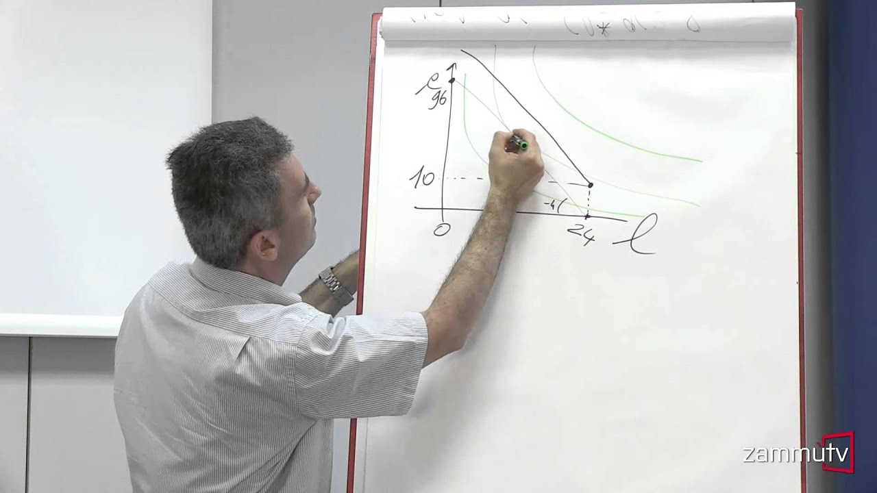 Microeconomia - Esercizi tipo: 6. Scelta consumo, tempo libero e offerta individuale di lavoro