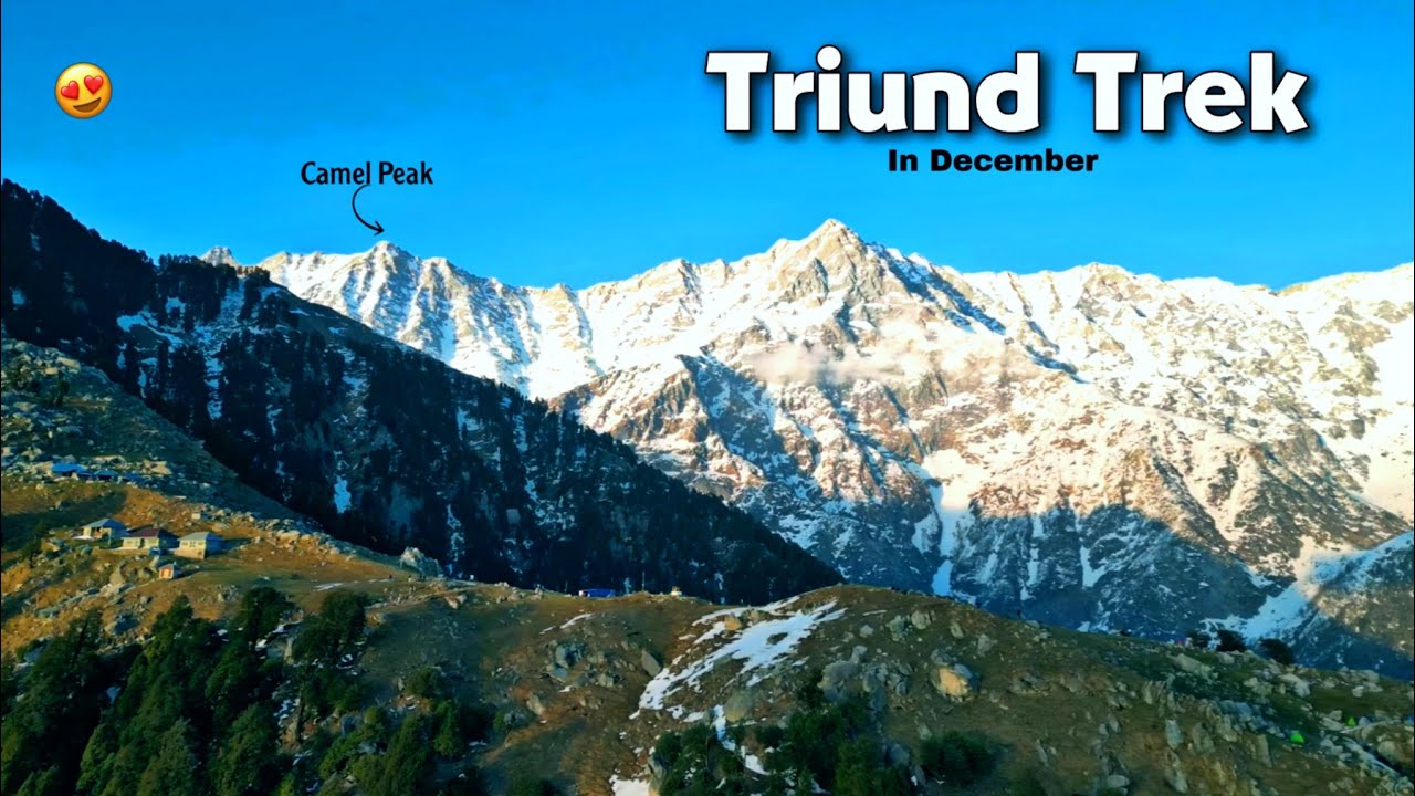 Triund Trek 2025 😍| Everything you need to know Budget, Permits and Best time to visit | Dharmshala 