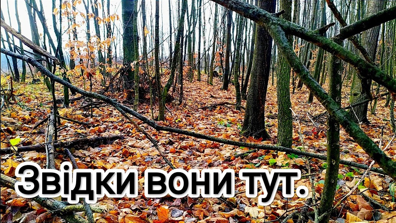 Копали довго! Пошук з металошукачем в Україні.