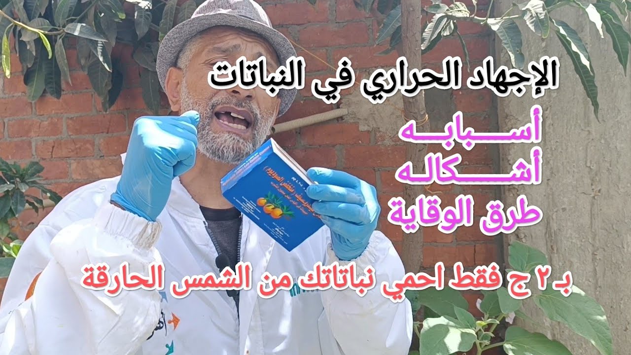 كيف تحافظ على نباتك من درجة حرارة الصيف الحارقة
