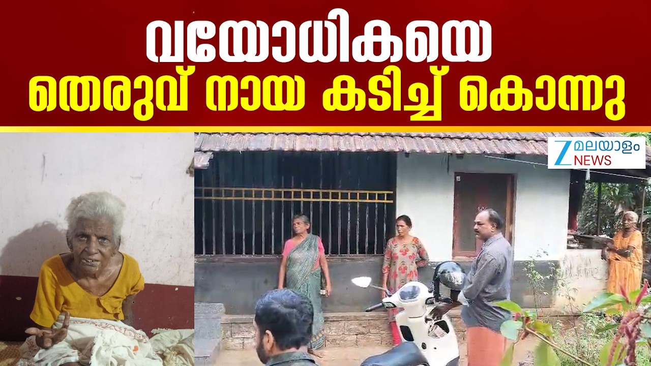 Thrissur Stray Dog Attack | വയോധികയെ തെരുവ് നായ കടിച്ച് കൊന്നു