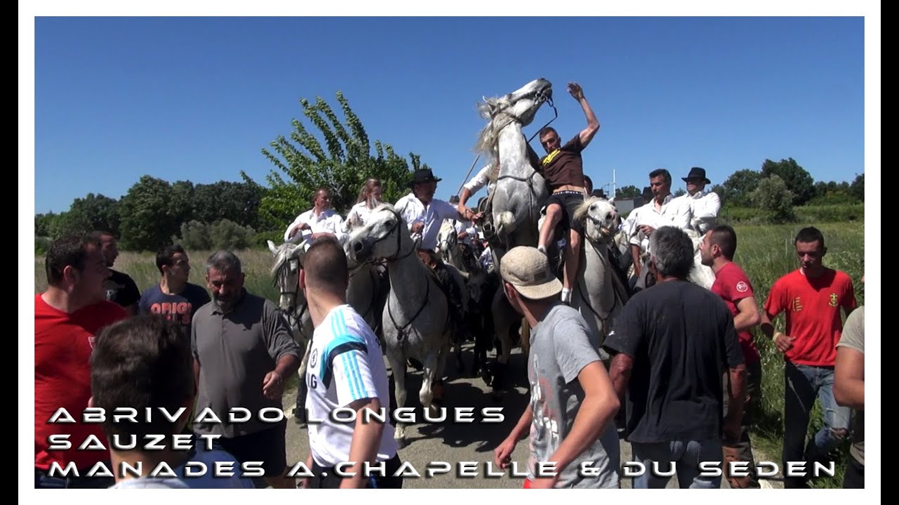 Festival Abrivado Longues Sauzet 17-05-2015