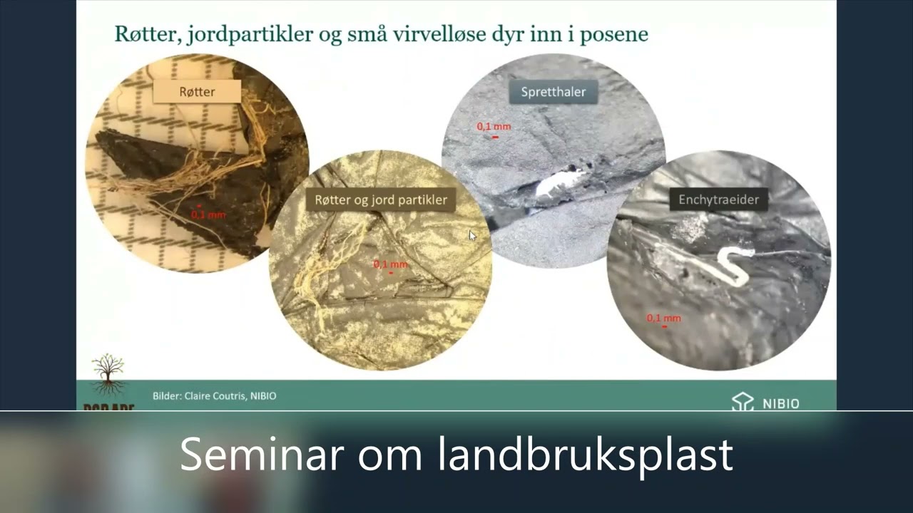 Biologisk nedbrytbar plast