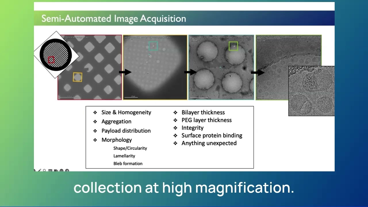 Enhance LNP Development: Cryo-TEM & Automated Image Analysis Tools