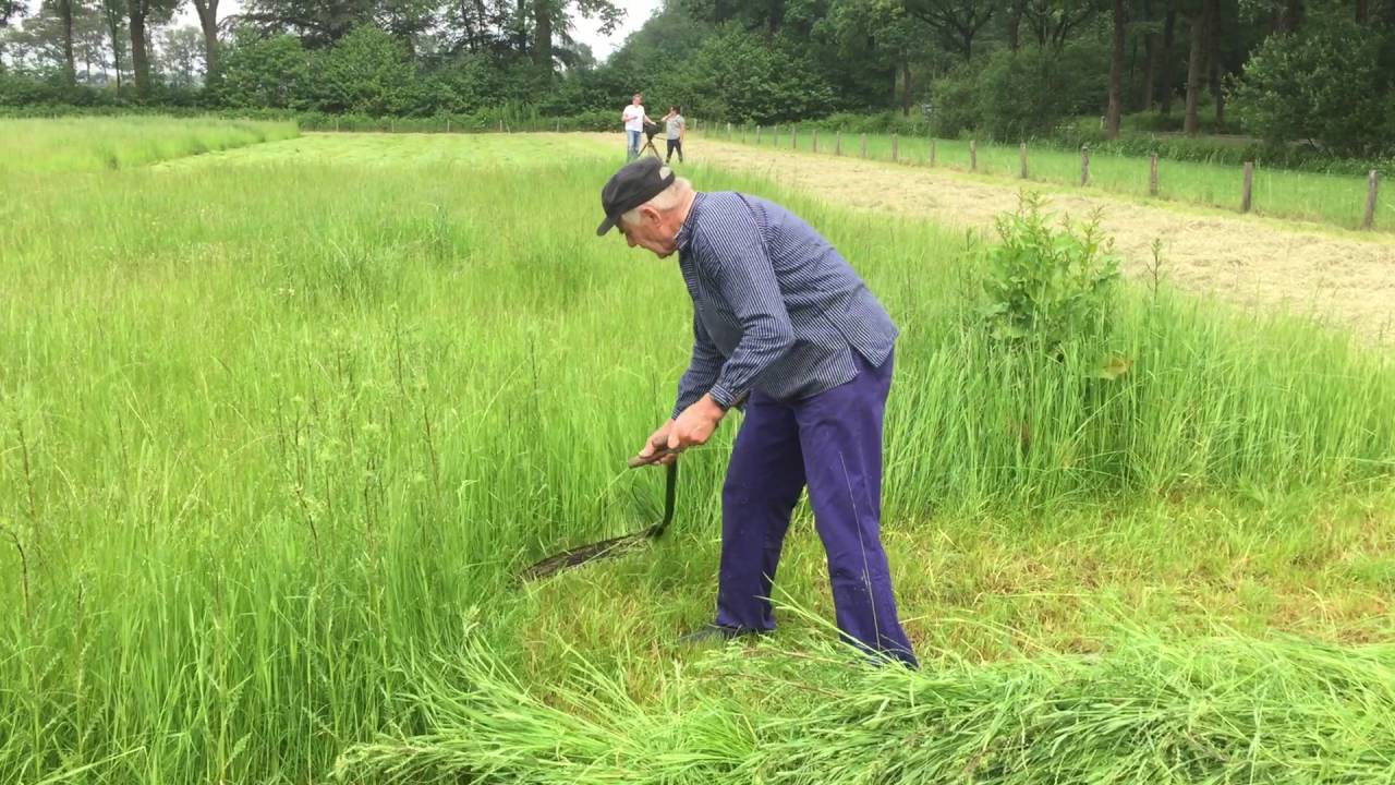 Maaien met de zeis, xxx en Wim Voskuilen
